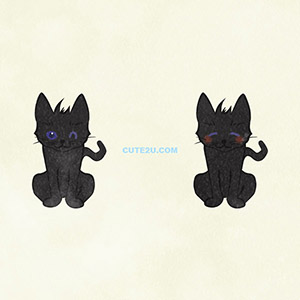 Animals Cat Black Cat02 02