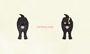 ANIMALS Dog Hunting Dog Black01 04