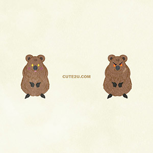 ANIMALS Quokka01 06