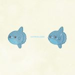 Animals Sunfish01 05