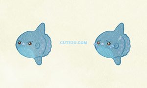 ANIMALS Sunfish01 05
