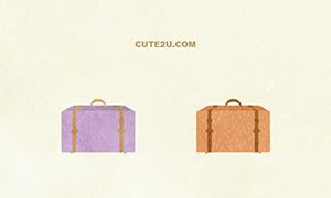 Bag Trunk Case 01 02