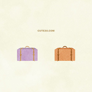 Bag Trunk Case 01 02