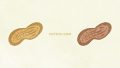 FOODS Nuts Peanuts03