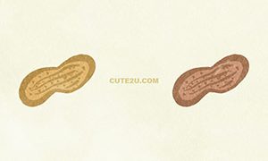 FOODS Nuts Peanuts03