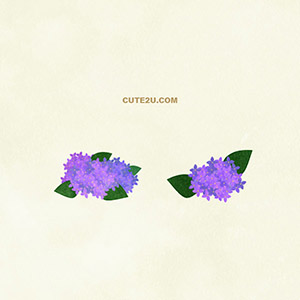 Flower Hydrangea01 Annabelle Blue