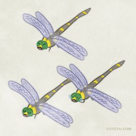 Insect Dragonfly01 02