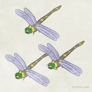 Insect Dragonfly01 02