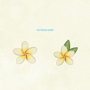 NATURE Flower Plumeria 01 White 01